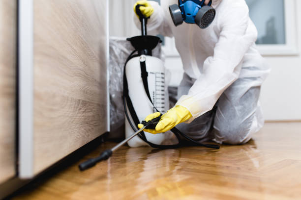 Best Pest Inspection Near Me  in Clawson, MI