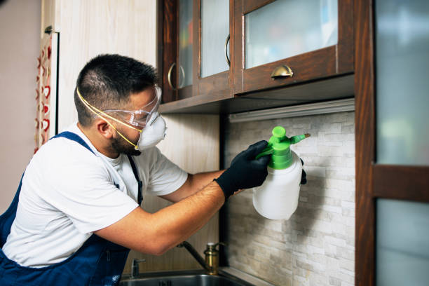 Wasp Removal Services in Clawson, MI