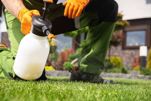 Best Mosquito Control Services  in Clawson, MI
