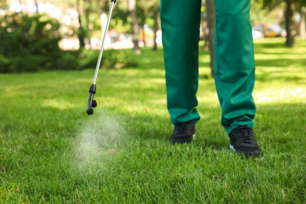 Best Emergency Pest Control  in Clawson, MI