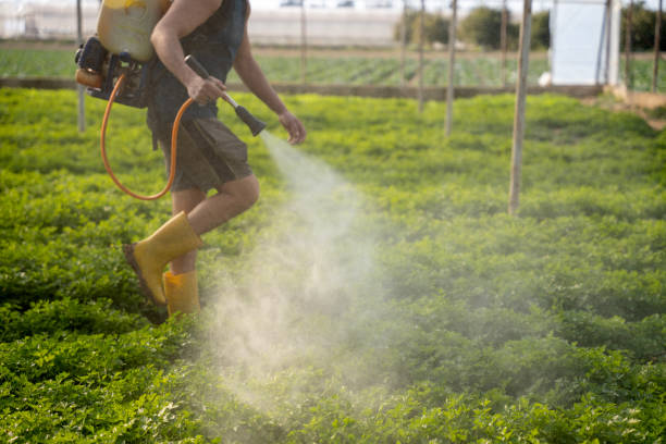 Best Pest Control for Restaurants  in Clawson, MI