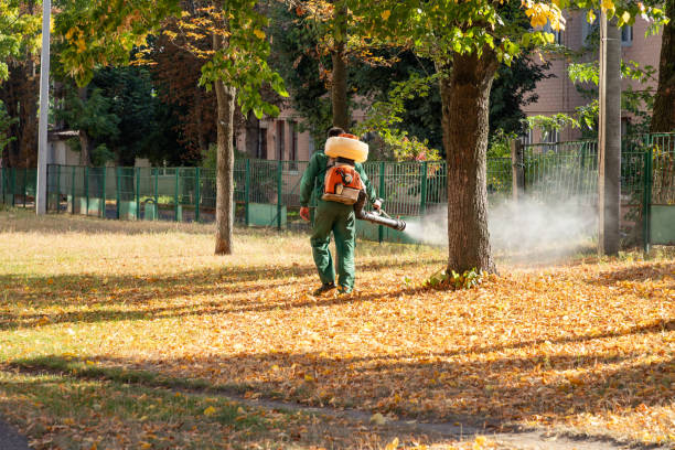 Wasp Removal Services in Clawson, MI