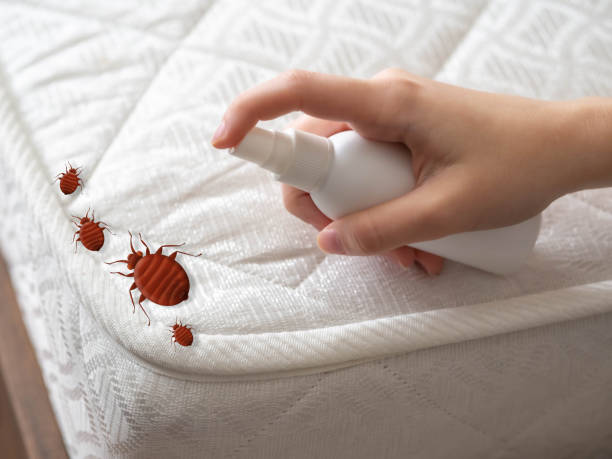 Best Best Pest Control Companies  in Clawson, MI