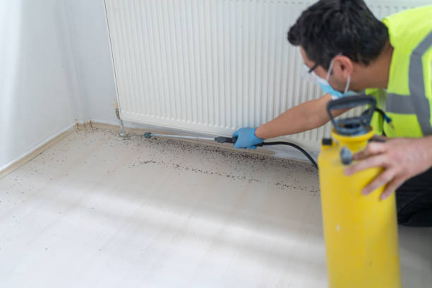 Best Best Pest Control Companies  in Clawson, MI